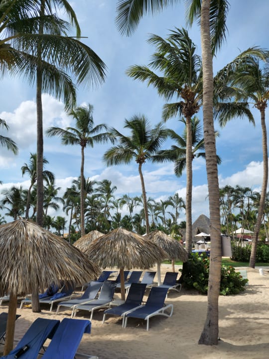 Strand Catalonia Royal La Romana - Adults only