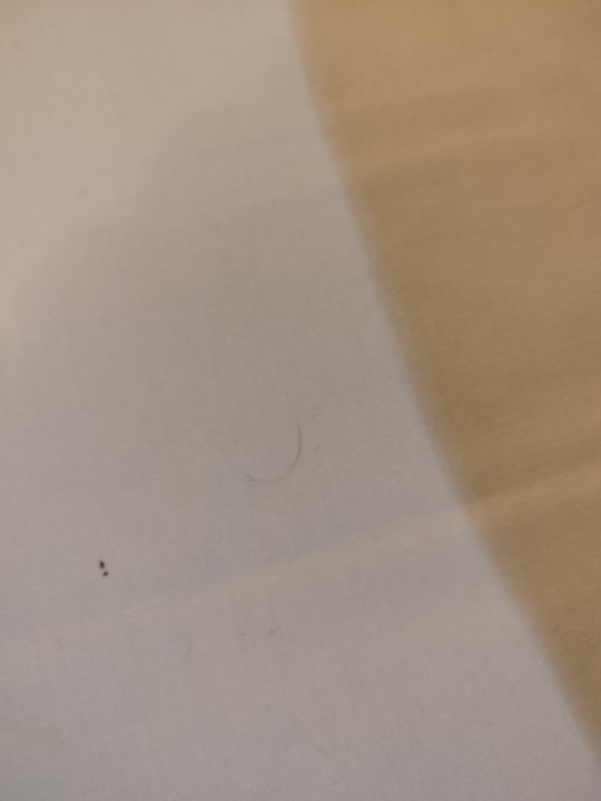 Zimmer Hotel Delta Berlin