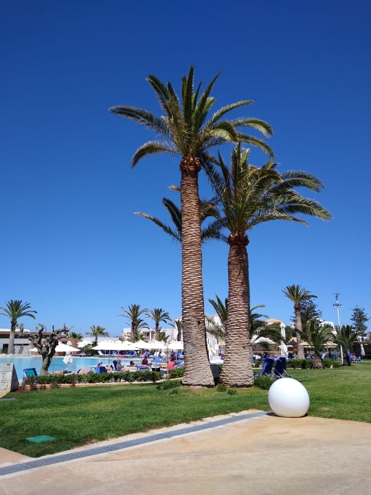 Pool Anissa Beach & Village