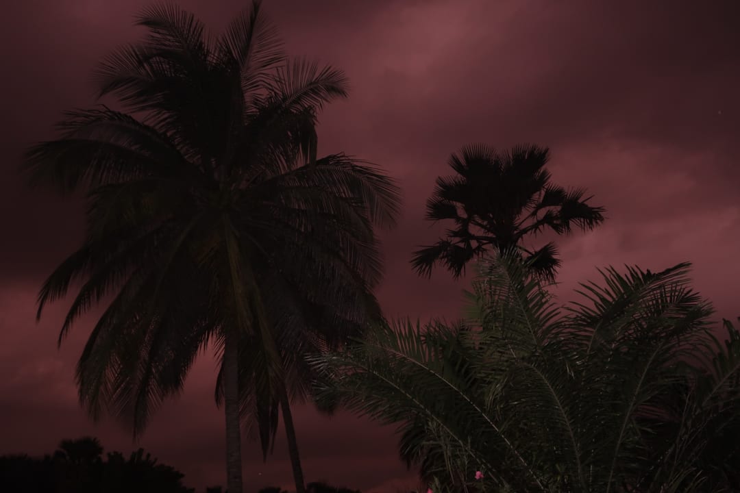 Ausblick The Kairaba Beach Hotel