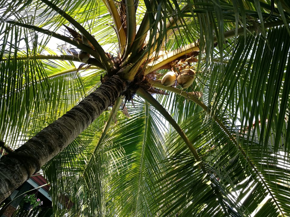 Außenansicht Hotel Bentota Village