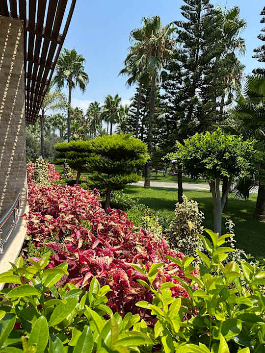 Gartenanlage Saphir Hotel & Villas
