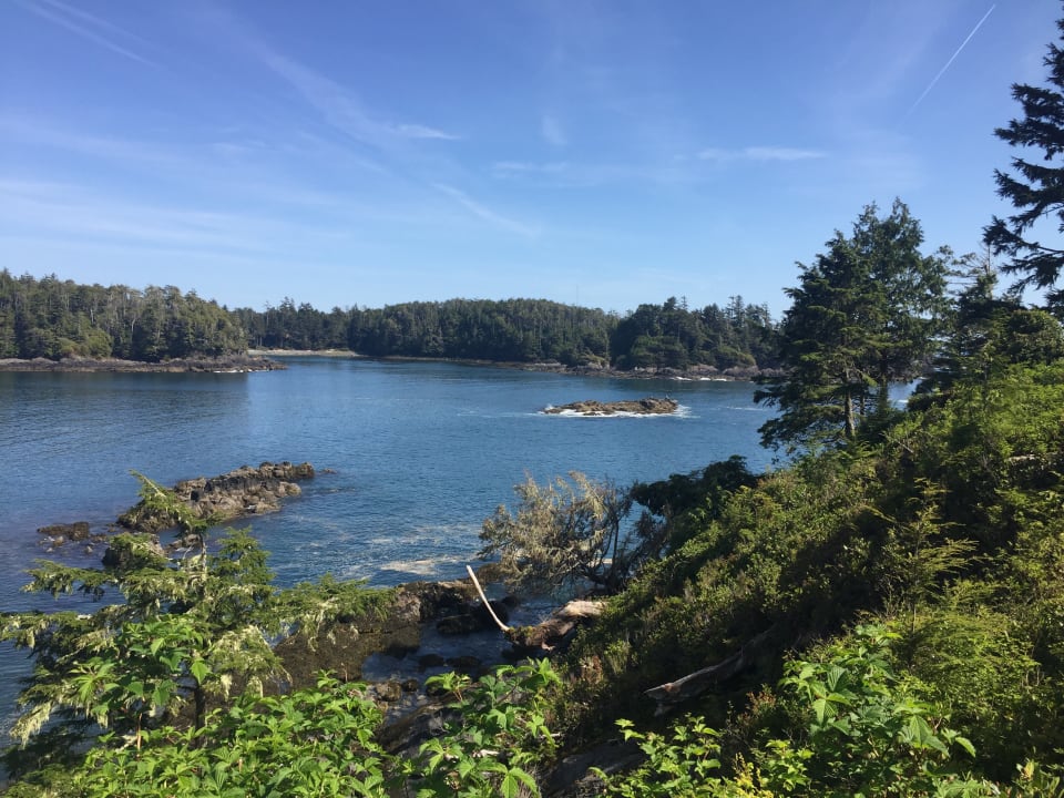 Blick von der Veranda Guesthouse Cygnet Cove Suites