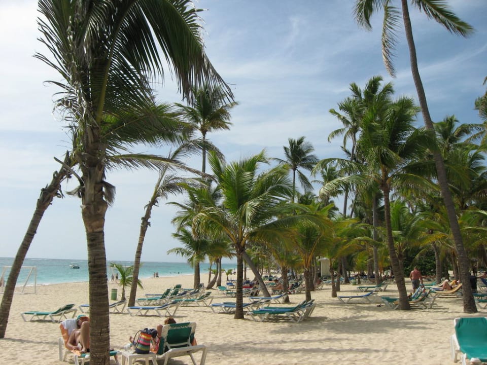 Palmenstrand Hotel Riu Bambu