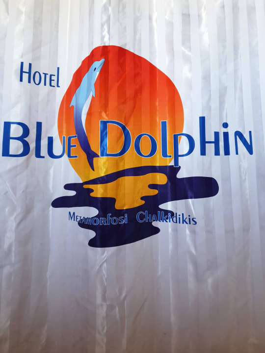 Zimmer Blue Dolphin Resort Hotel