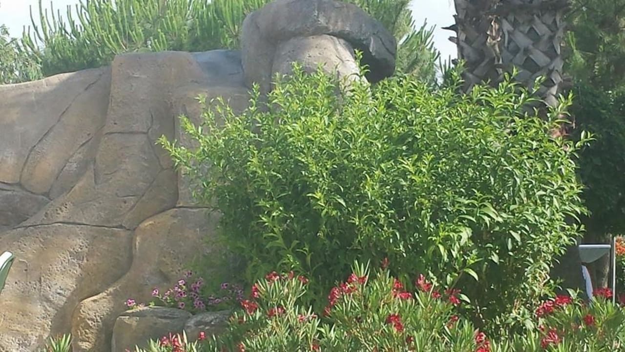 Alles grün Bella Resort & Spa