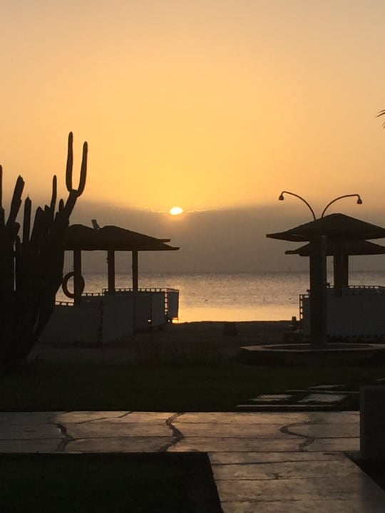 Sonstiges Shams Prestige Abu Soma-Adults Only