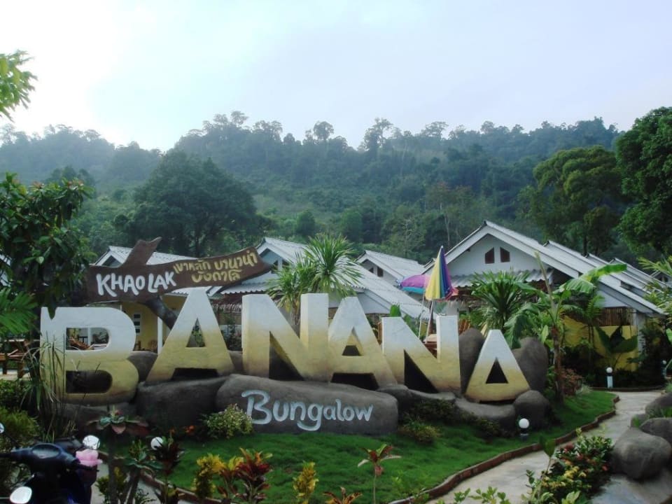 Banana Bungalows Hotel Banana Bungalow