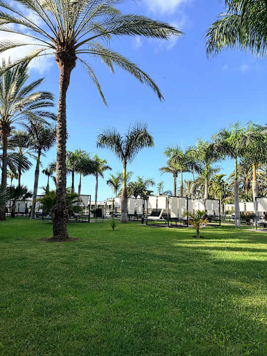Gartenanlage Hotel Riu Palace Maspalomas Adults Only