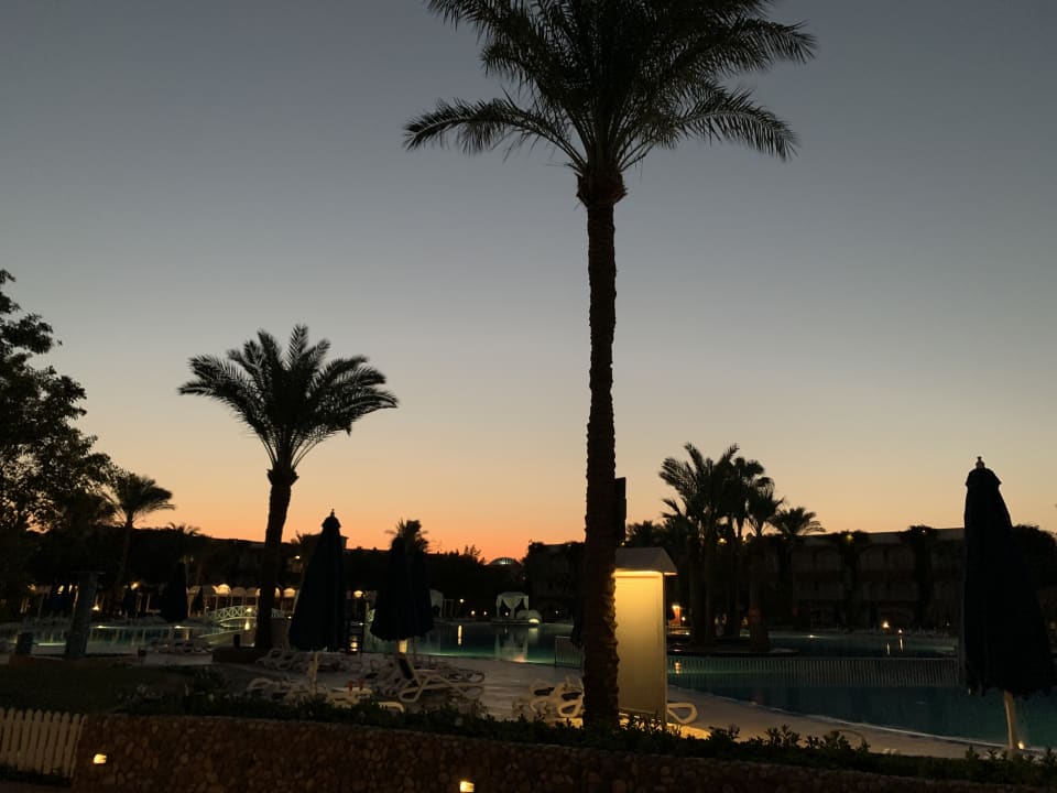 Ausblick Desert Rose