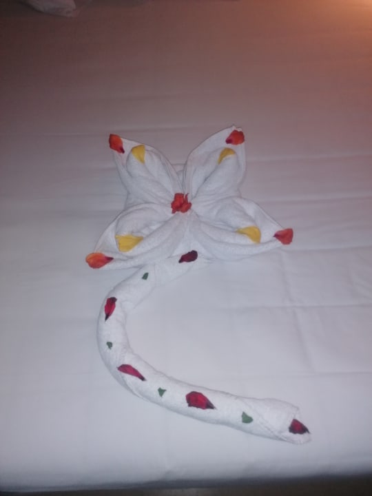 Zimmer Stella Garden Resort & Spa, Makadi Bay