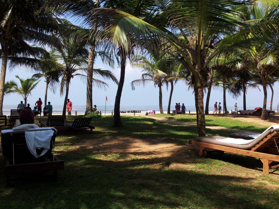 Immer genügend freie Liegen Mermaid Hotel & Club