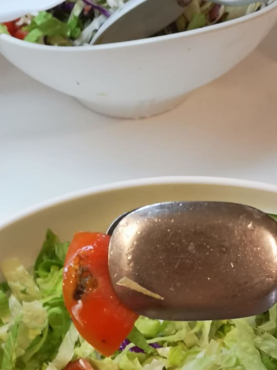 Gastro Hotel Orfeus Park