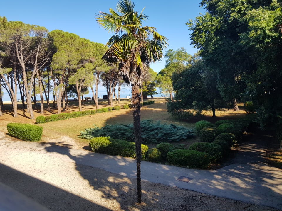 Garten Falkensteiner Hotel Adriana