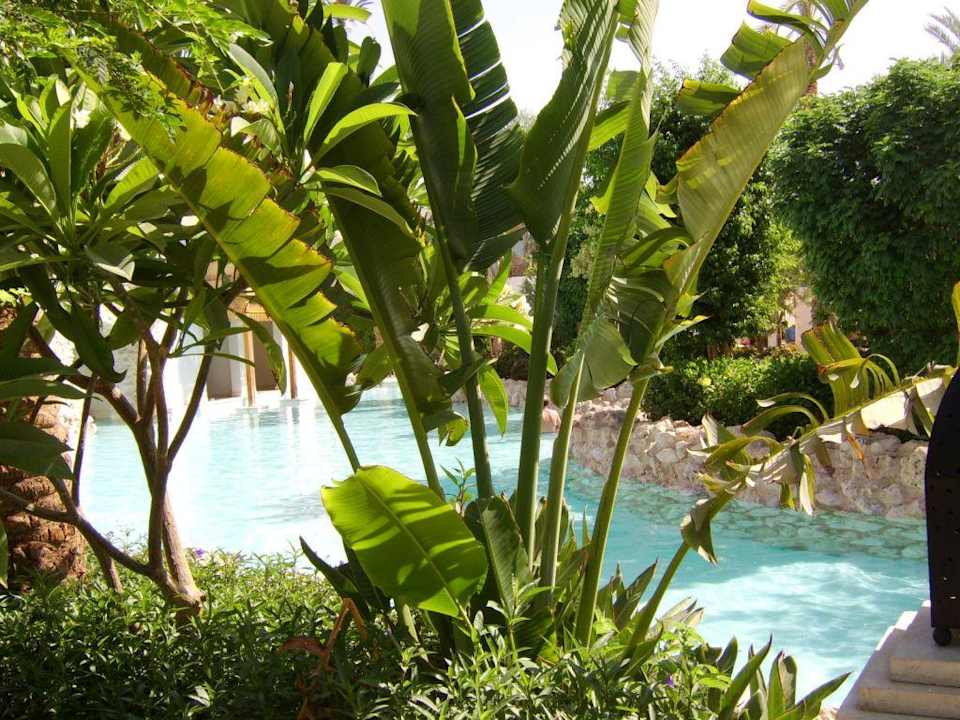 Pool Ghazala Gardens