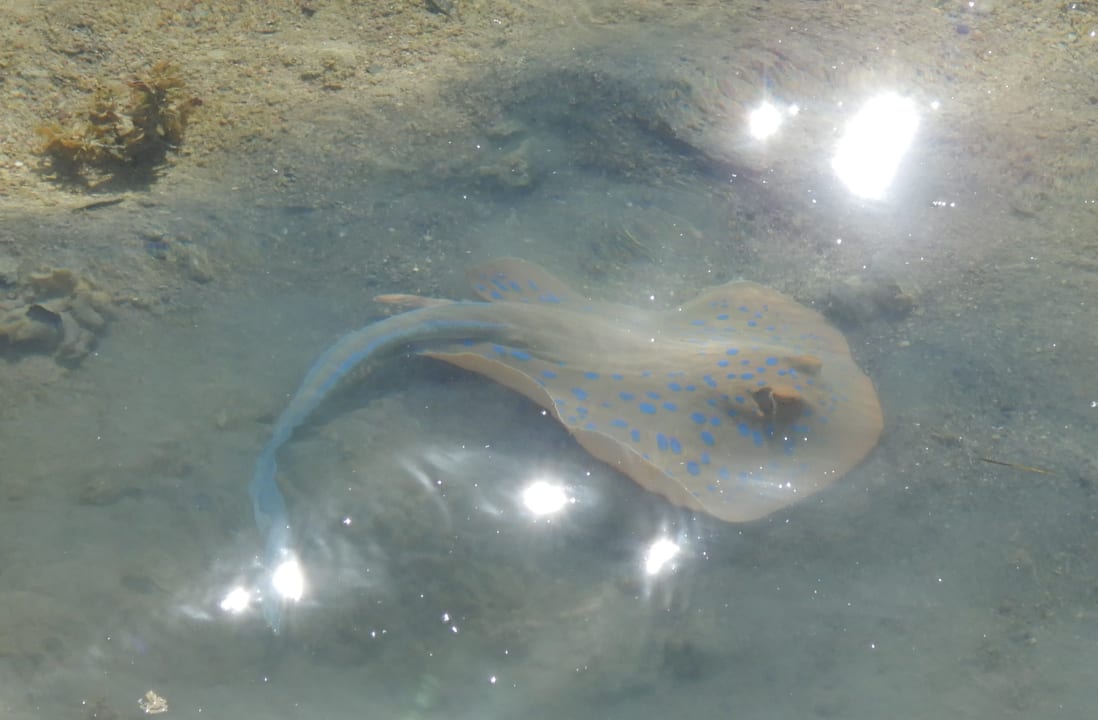 Sport & Freizeit Grand Makadi