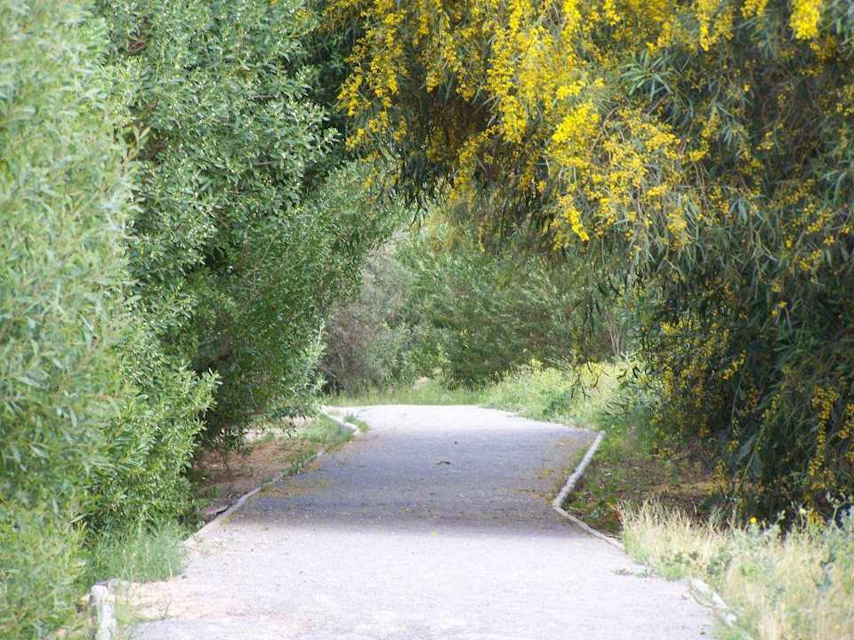 Anlage El Ksar Resort & Thalasso