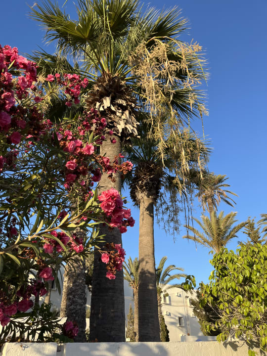 Außenansicht El Mehdi Beach Resort