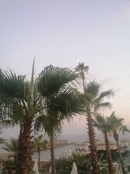 Ausblick Aria Resort & Spa