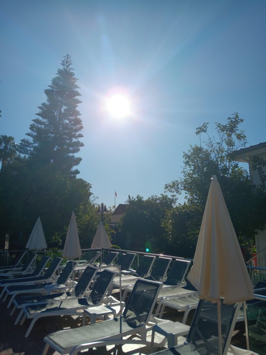Pool Clover Magic Nova Beach