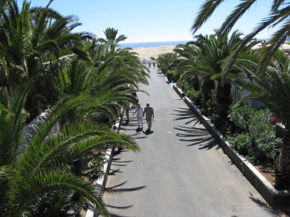 Weg zum Strand via Dünen Hotel Riu Palace Maspalomas Adults Only
