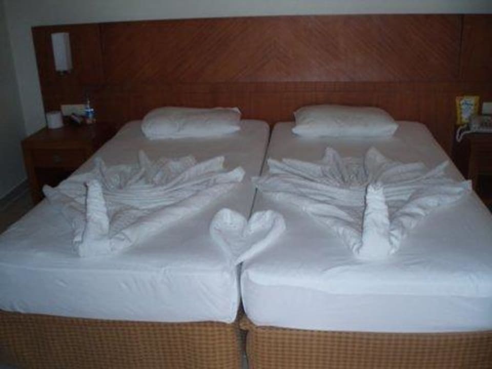 Jeden Tag ein neues Motiv Calimera Serra Palace