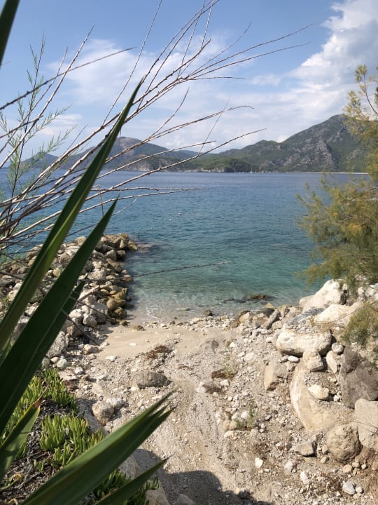 Strand Liberty Lykia Adults Only