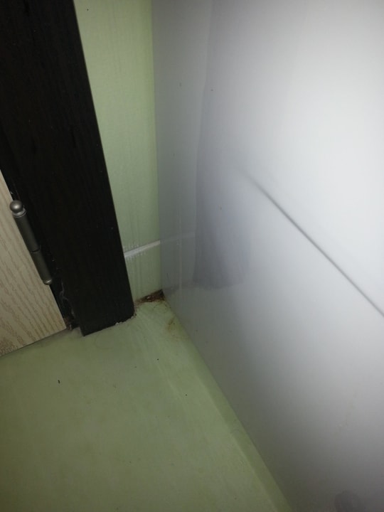 Im Bad hinter der Tür Hotel Orfeus Park