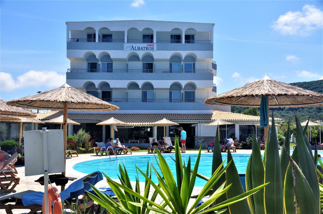 Pool Hotel Albatros