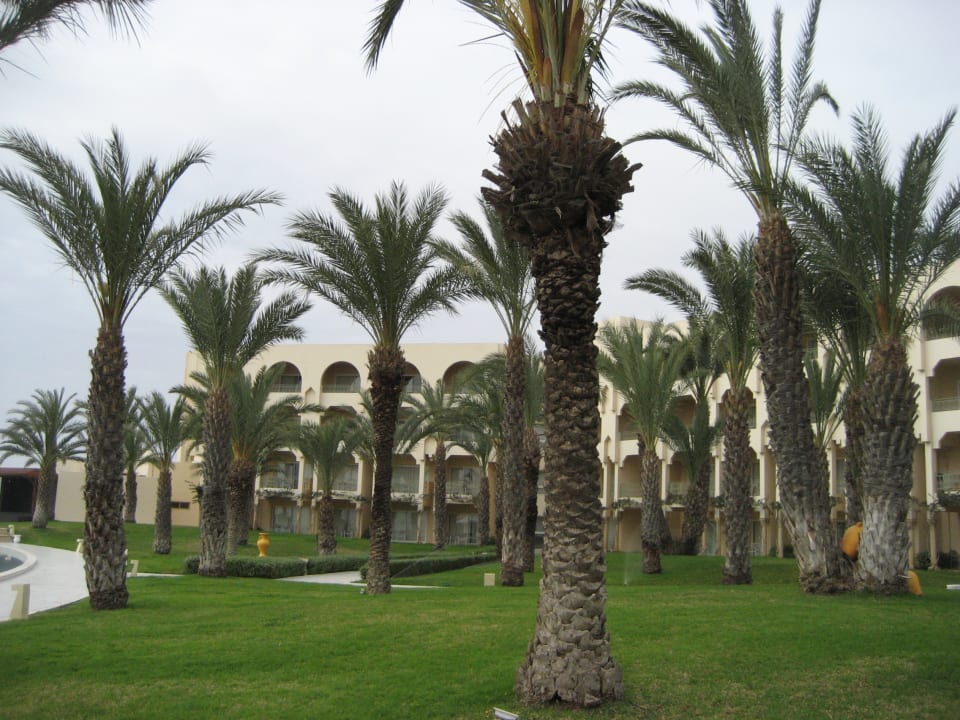 Außenansicht Iberostar Waves Averroes