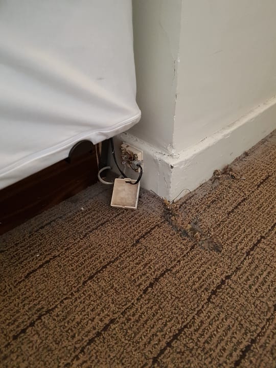 Zimmer New York's Hotel Pennsylvania