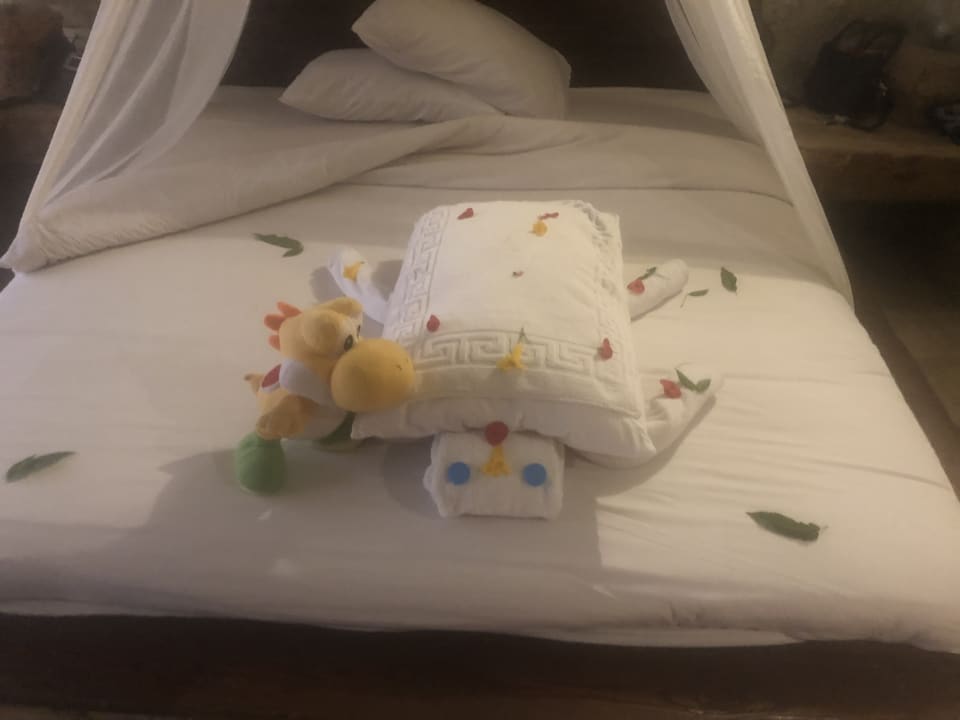 Zimmer Hotel Caves Beach Resort (Adults Only)