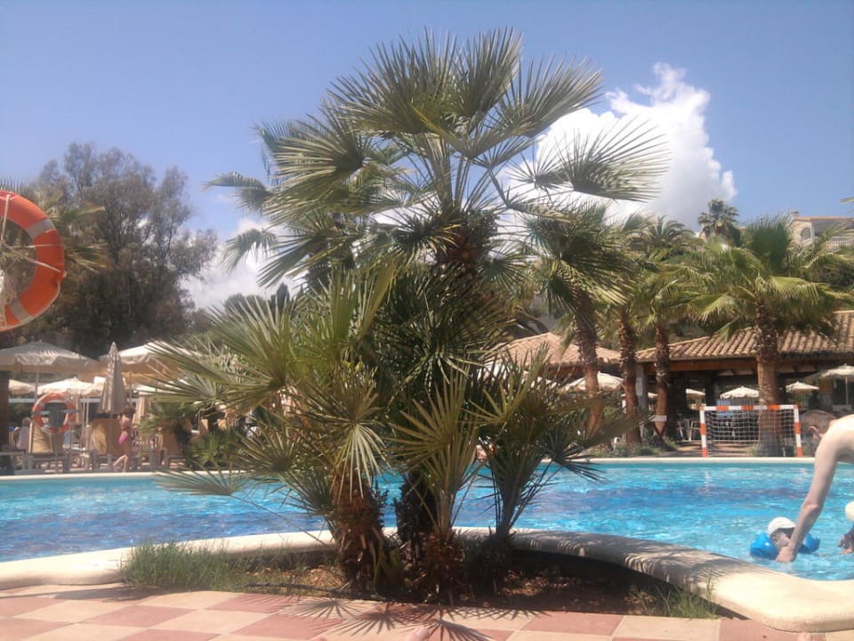 Pool Flipflop Cala Romantica