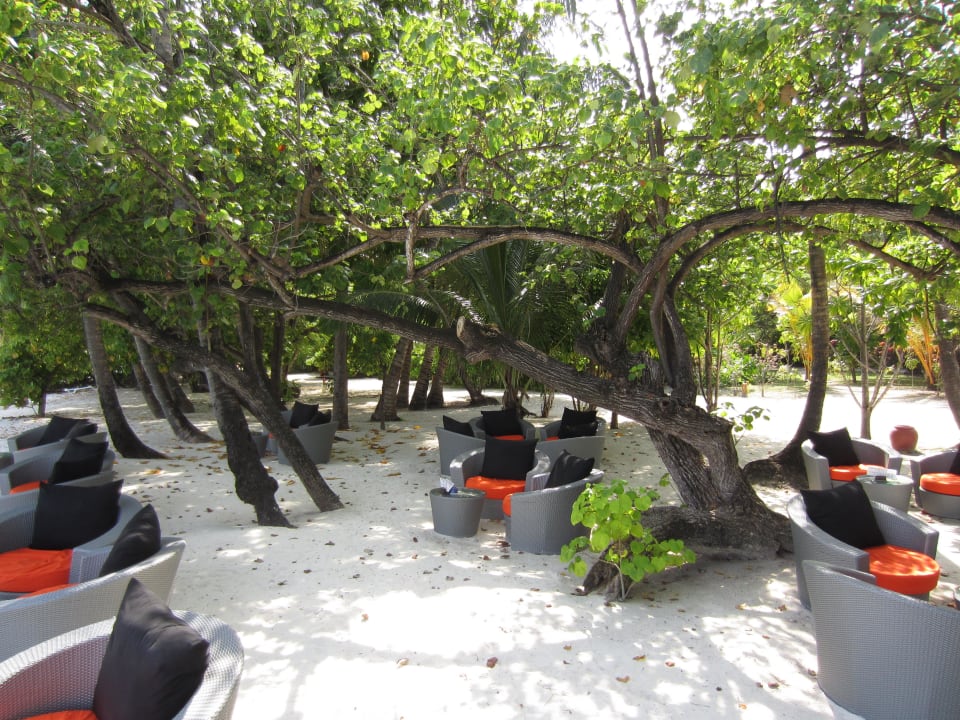 Umgebung Strandbar Meeru Maldives Resort Island
