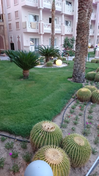 Gartenanlage Pickalbatros Palace Resort
