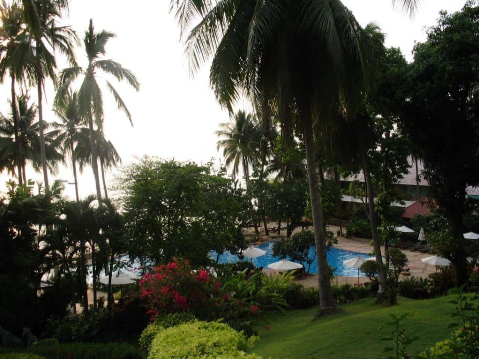 Pool und Garten SYLVAN Koh Chang