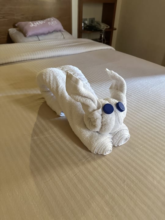 Zimmer Grand Waterworld Makadi & Family Star Makadi