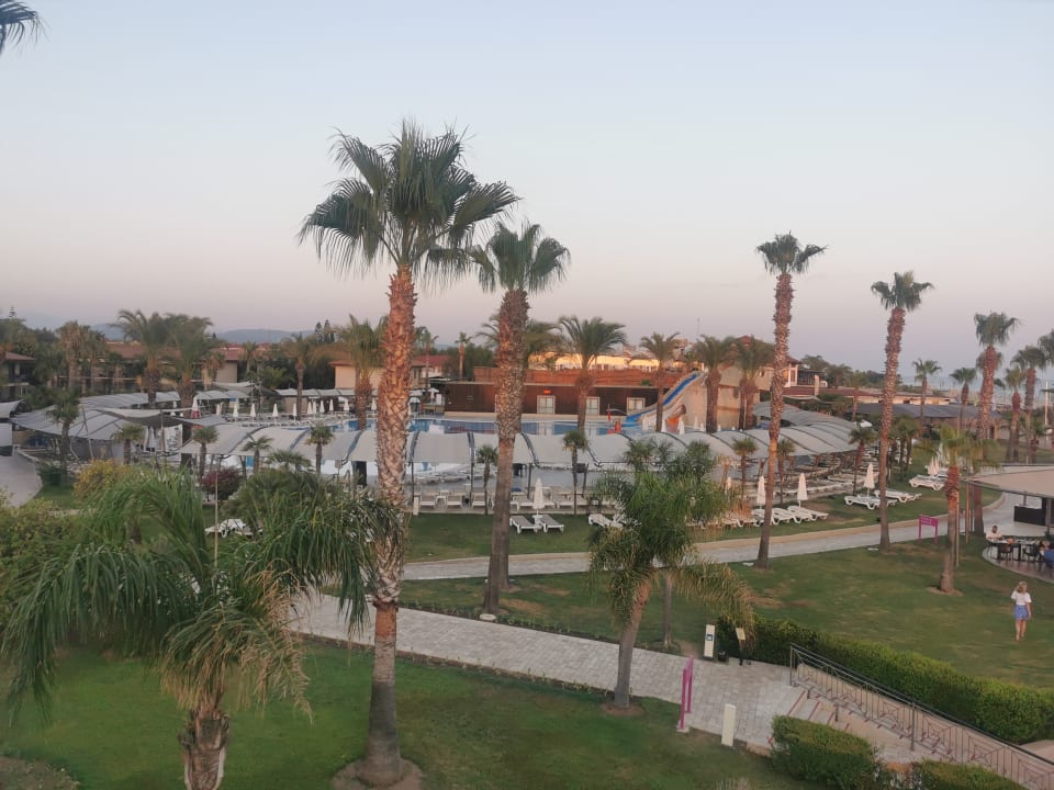 Gartenanlage TUI BLUE Palm Garden