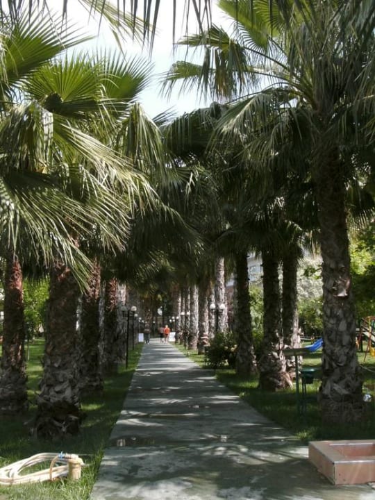 Weg zum Strand Hotel Gardenia Beach