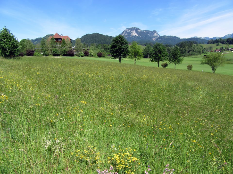 Außenansicht Die Wasnerin