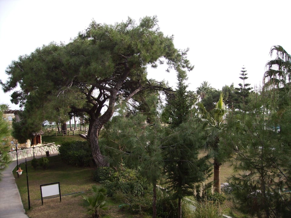 Garten Kilikya Palace Göynük