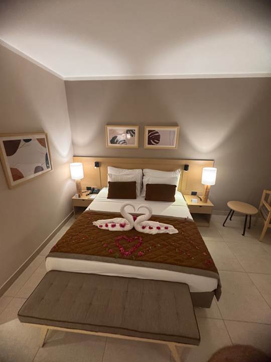 Zimmer JAZ Elite Amara