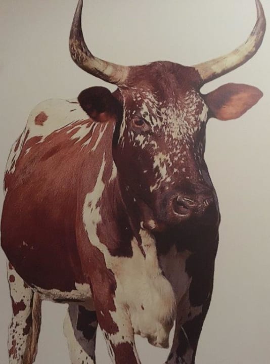 Sonstiges Val Du Charron Guesthouse & Wine Estate