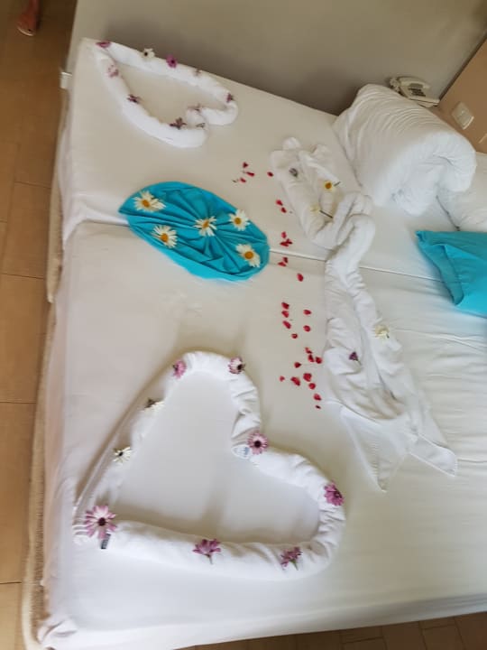 Zimmer Can Garden Beach