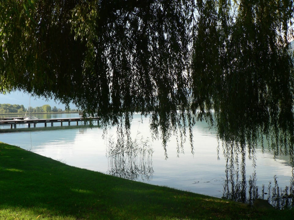 &quot;Trauerweide im wunderschönen Garten&quot; Parc Hotel am See