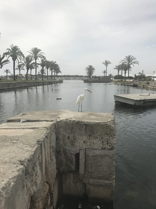 Strand BelleVue Club