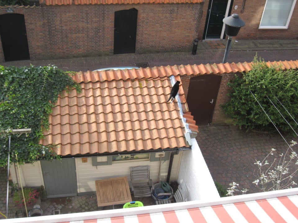 Blick in den Garten Pension Sixtysix