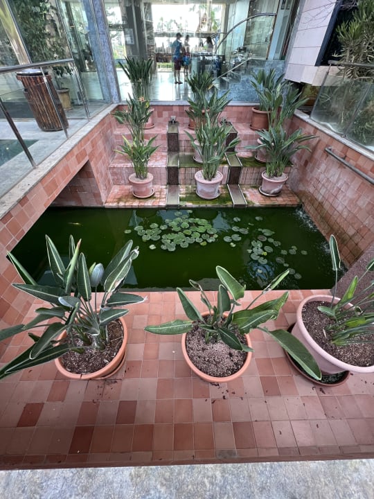 Sonstiges Grupotel Alcudia Pins