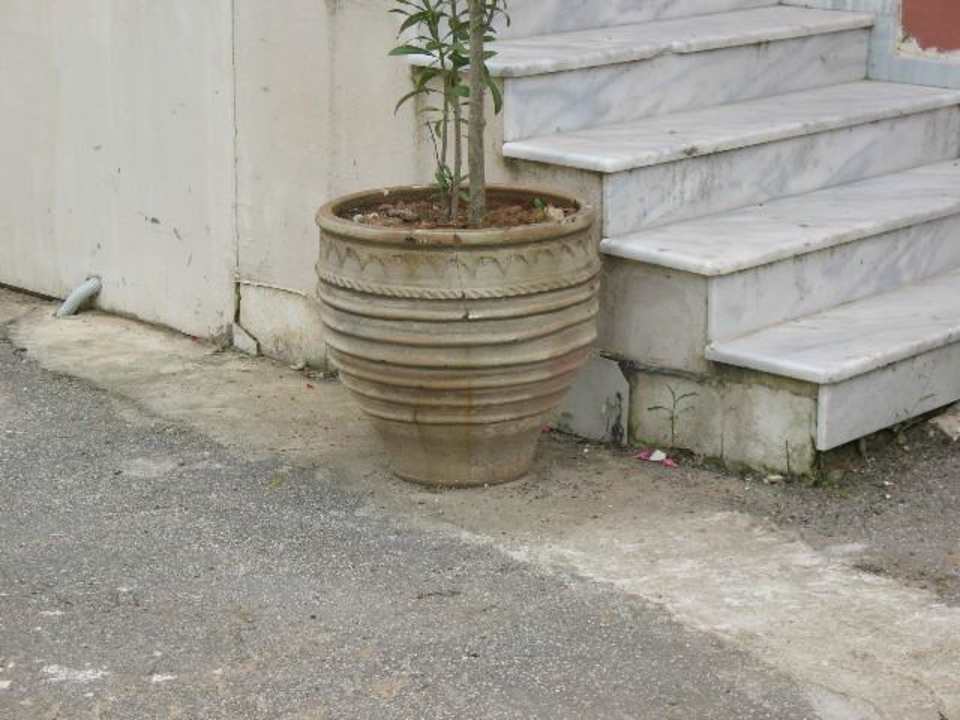 Ungepflegtes Außengelände Sandy Beach Resort