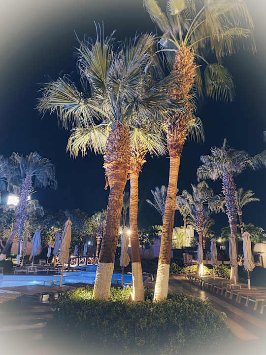 Gartenanlage Steigenberger Aqua Magic